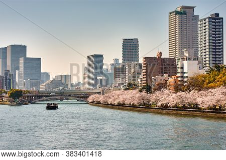 Osaka / Japan - March 28, 2018: Tourist River Cruise Ship Himawari Sailing The Okawa River With Bloo