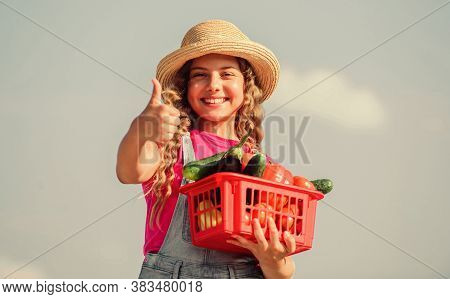 Food Alternative. Kid Summer Farm. Organic Food. Little Girl Vegetable In Basket. Only Natural. Heal