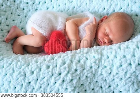 A Sleeping Newborn Boy Or Girl Lies On Blue Wool. A Red Heart In Her Or His Hands.heart Shape Red Fl