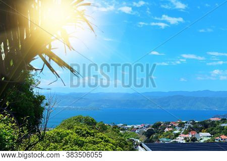 View From A High Spot At Wellington Harbour And East Harbour Regional Park On A Bright Sunny Day. To