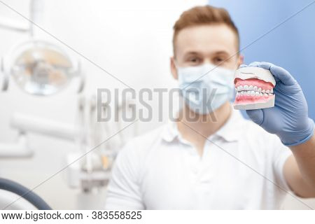 Handsome Young Male Dentist Demonstrating Teeth Mold