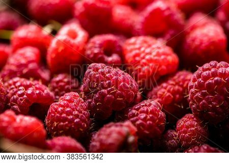 Fresh And Sweet Red Raspberries Texture. Fruit Pile Background. Red Raspberries Texture.