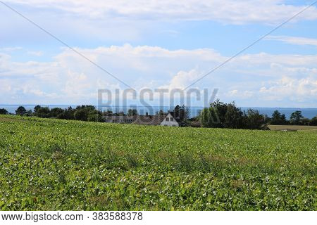 Drøsselbjerg Strand City In The Kalundborg, Denmark.