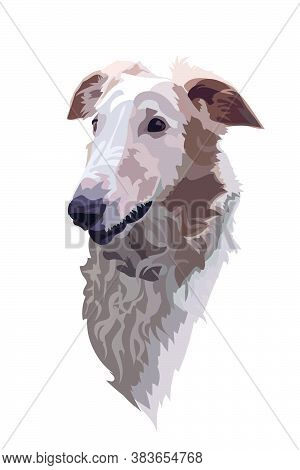 Vector Image Of The Muzzle Of An Animal Greyhound Dog On A White Background