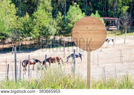 Empty Wooden Signboard On The Horse Farm. Horse Trail Sign Post Or Beware Sign. Horses Eating Hay On