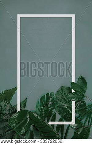 Abstract Green Leaf Texture, Nature Background, Tropical Leaf
