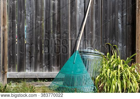 A Large Leaf Rake, Meant For Gathering Fallen Leaves In Autumn, Has A Wooden Handle And Plastic Tine