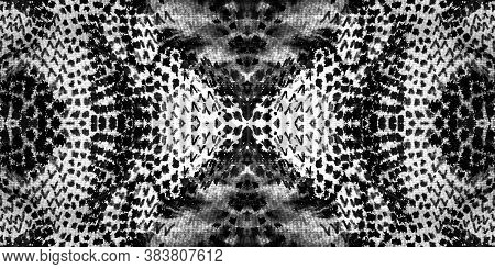 Snake Skin. Silver Oriental Tile. Black Seamless Snake Skin Texture. Dragon Skin. Smoke Snake Patter