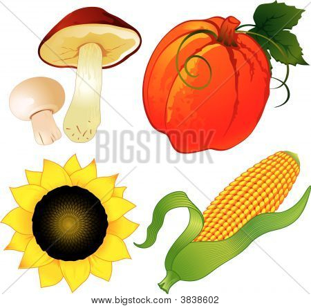 가 Harvest.Eps