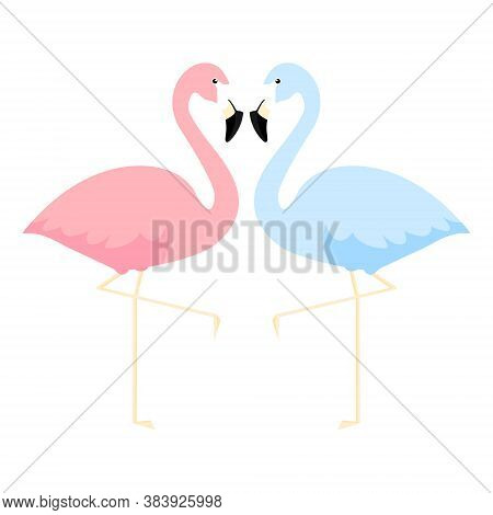 Pink And Blue Flamingos Love Concept. Couple Of Two Cute Flamingo Vector Illustration Isolated On Wh