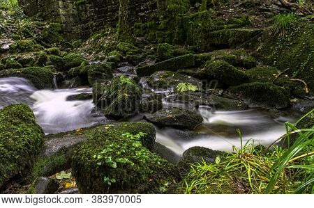 Kennall River In Kennall Vale Nature Reserve, Ponsanooth, Cornwall, United Kingdom