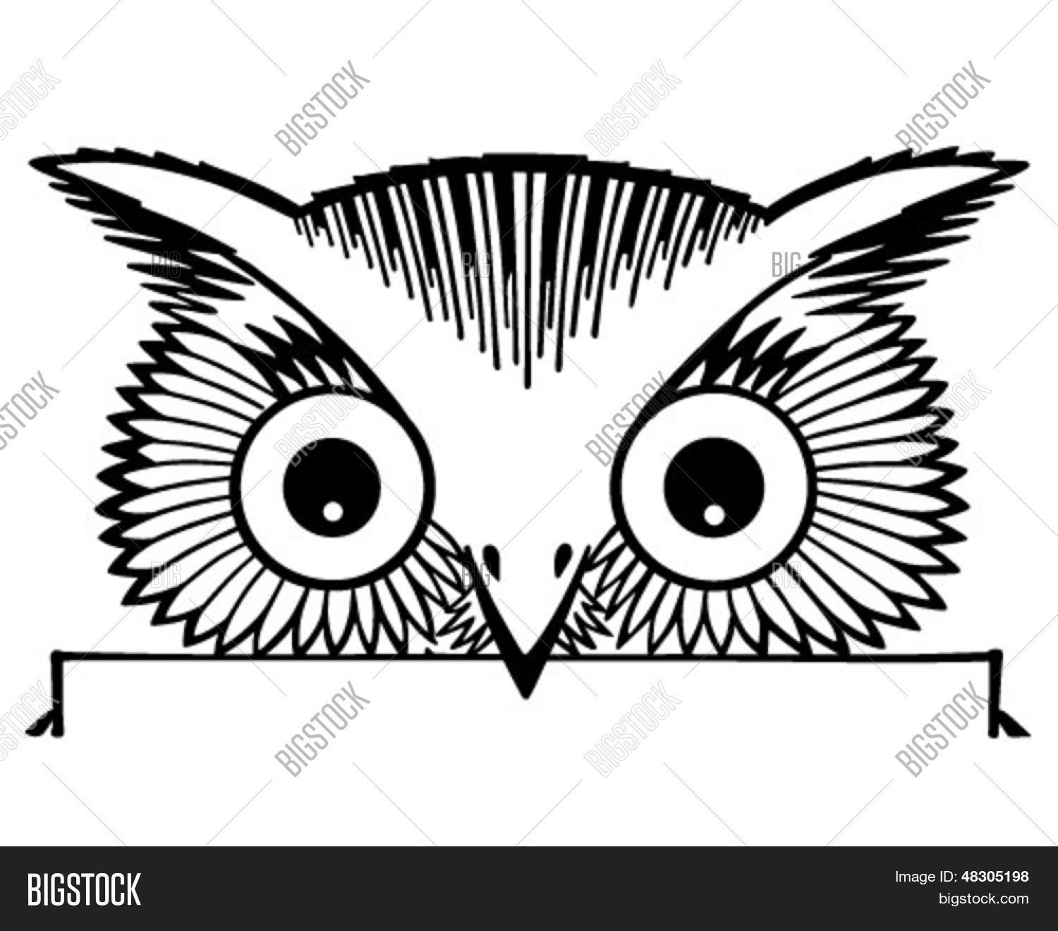 Peeking Owl Motif - Vector &amp; Photo (Free Trial) | Bigstock