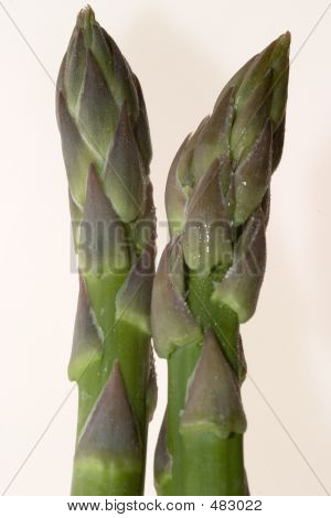 Espargos verdes