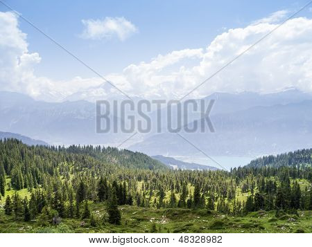 Un'immagine di un paesaggio bello a Beatenberg Svizzera