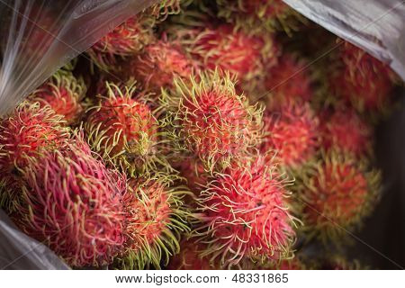 비닐 봉지에 신선한 Rambutans