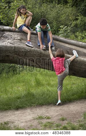 Full length of three friends climbing on fallen tree