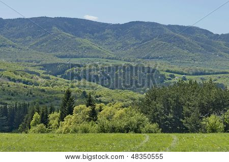 Panorama Mountain