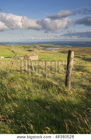 Yorkshire moors gospodarstwa