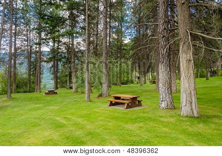 Area picnic bella Thompson river, Canada.