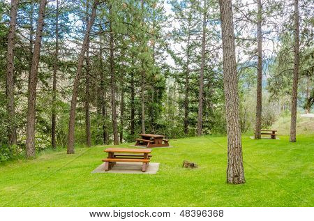 Area picnic bella Thompson river, Canada.