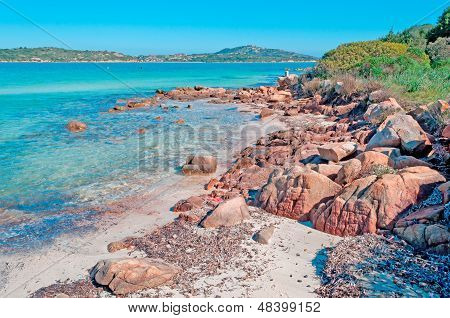 Rocks By The Shore