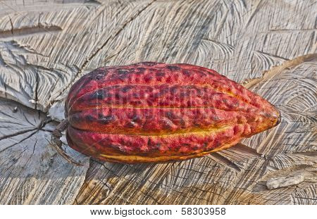 Cacao Pod
