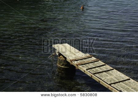 Meer