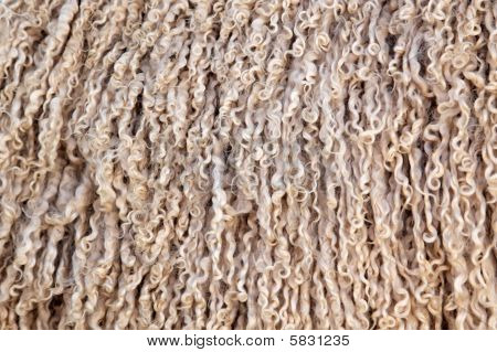 Kasmírkecske gyapjú háttér