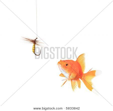 Pez dorado y un gancho de pesca