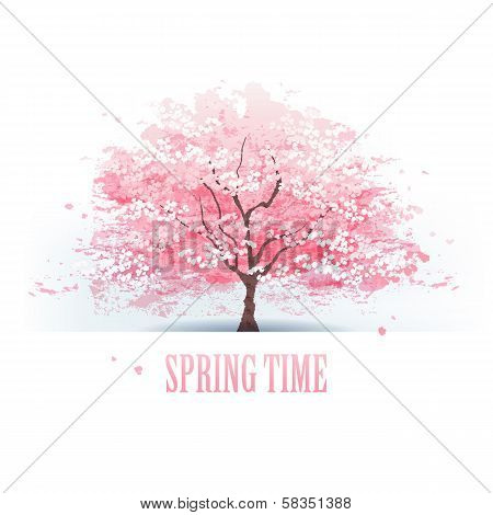 Beautiful Cherry Blossom Tree