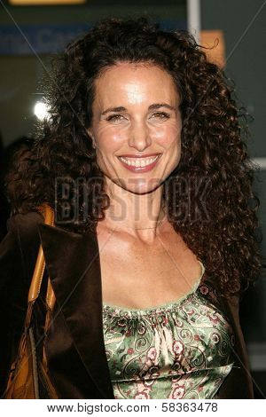Andie MacDowell at the premiere of 
