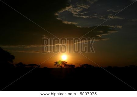 African Sunset