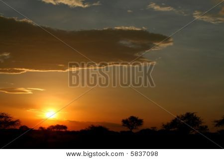 African Sunset