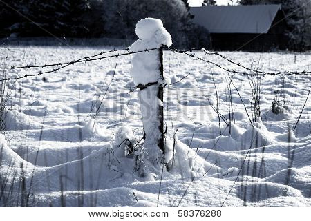 Barbed Wire Fence With Snow
