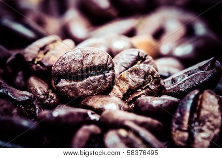 Coffee Bean On Macro For Background