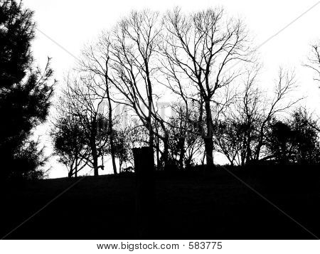 Sagome di albero