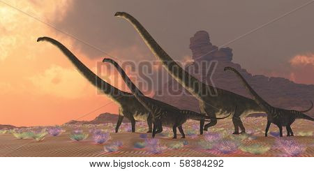 Mamenchisaurus Dinosaurs