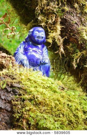 Bouddha de la forêt