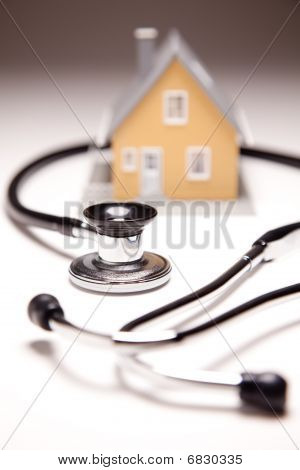 청진 기 및 Gradated 배경에 모델 하우스