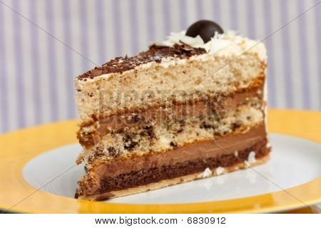 Schokoladenkuchen w Creme, Kirsche, Früchte und Kakaopulver