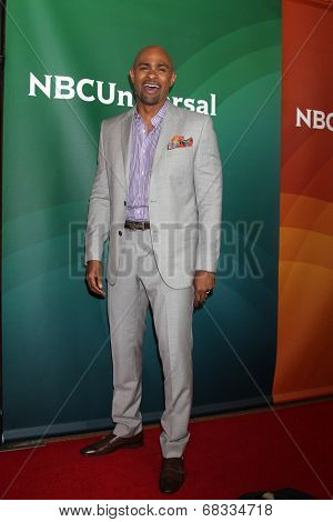LOS ANGELES - JUL 14:  Wayne Chaney at the NBCUniversal July 2014 TCA at Beverly Hilton on July 14, 2014 in Beverly Hills, CA