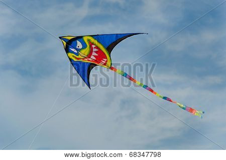 Kite