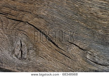 Old wood texture. Abstract background