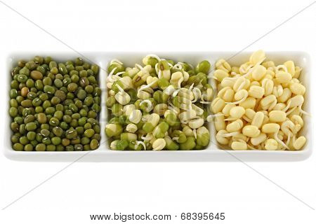 Dried and soaked Mung Bean (Green gram) sprouts with and without green skins.