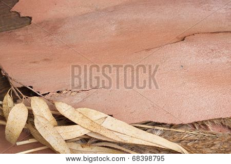 Autumn background with leaves, dried cannes and bark