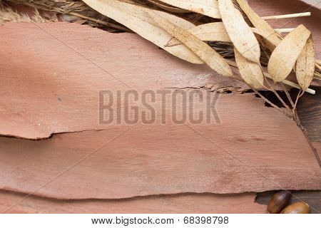 Autumn background with leaves, dried cannes and bark