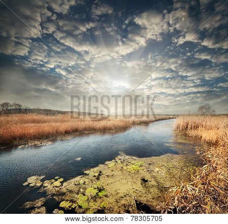 Quiet Reedy River