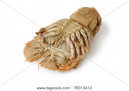  Bottom of a cooked flathead lobster on white background