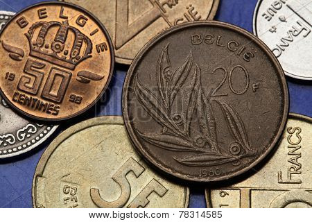 Coins of Belgium. Stylized olive branch with eight leaves depicted on the Belgian 20 franc coin. 