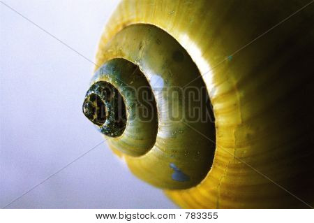 Snailhouse